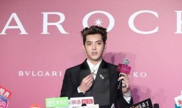 娱乐八卦爆料吴亦凡,娱乐八卦揭秘事件真相