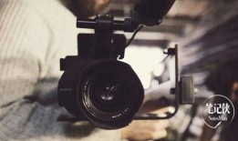 天牛起飞爆料视频播放,揭秘神秘生物的震撼起飞瞬间