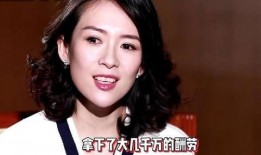 袁立爆料黑幕视频,真相与反思